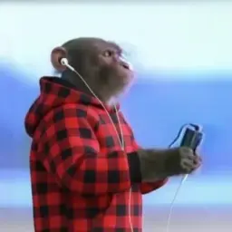 Музышка🕴
