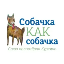 СобачкаКакСобачка