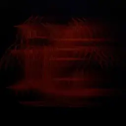 道